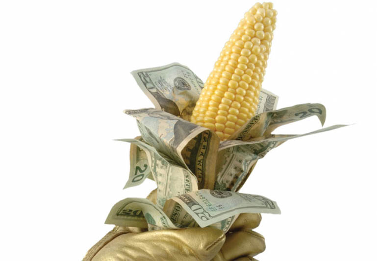 Down on the Farm Subsidies The Texas Observer