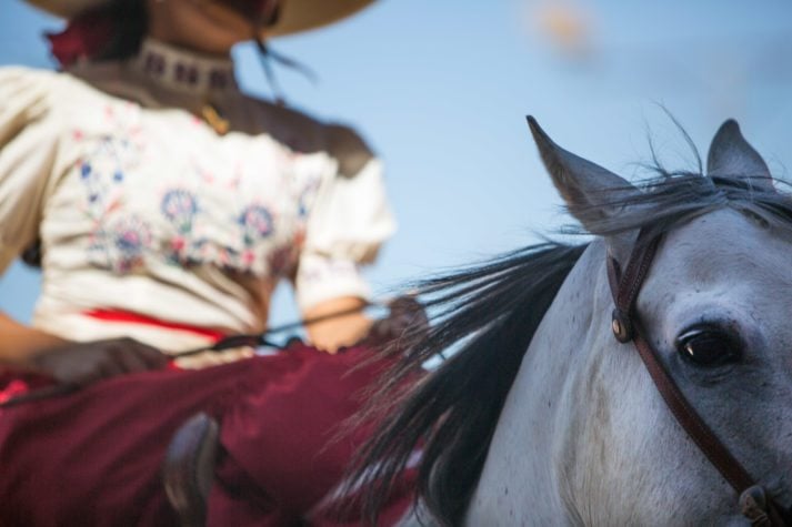 Ride Like a Girl: Women Riders Take Reins in Macho World of Charrería