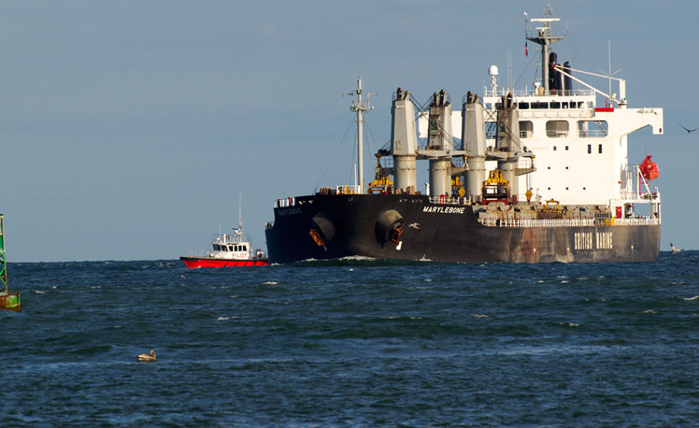 Port of Corpus Christi Pushes Ahead with Oil Terminal Project ...