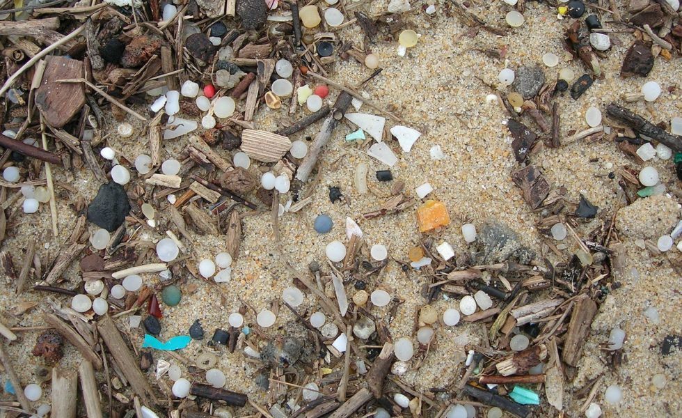Nurdle by Nurdle, Citizens Took on A Billion-Dollar Plastic Company ...