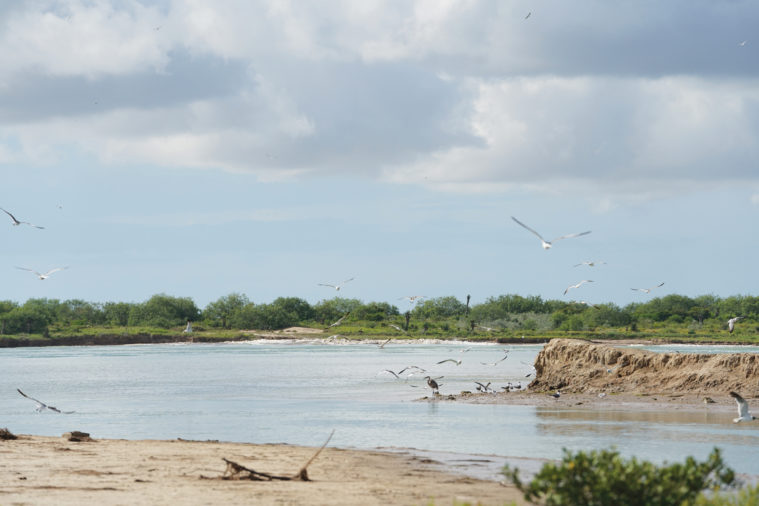 Outdoors Notebook: Weather not slowing area fishermen - Brownsville Radio