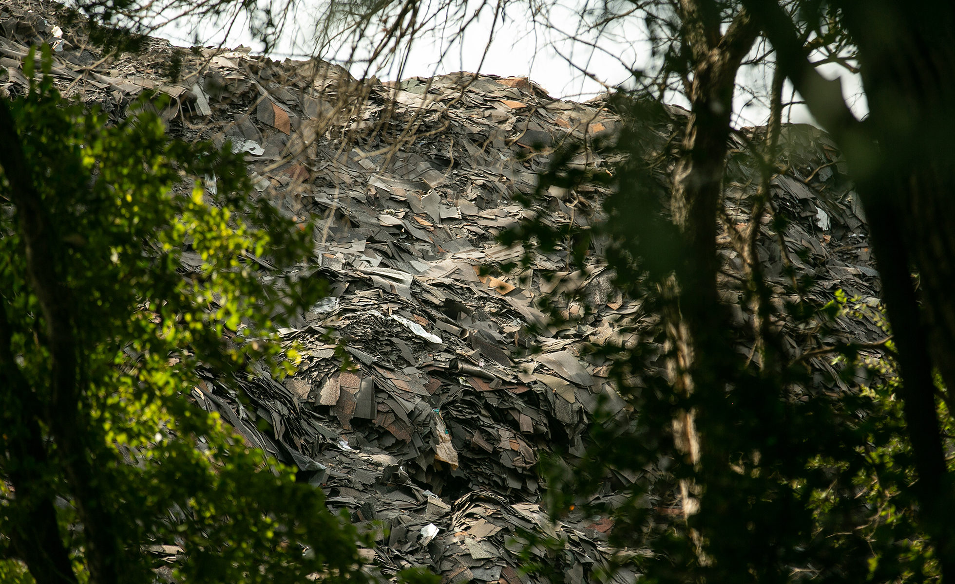 For years, Marsha Jackson has lived next door to Shingle Mountain, an illegal dump consisting of hundreds of tons of roof shingles.